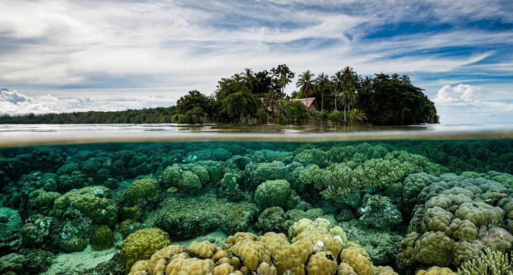 Marovo Lagoon, New Georgia Islands, Western Province, Solomon Islands
